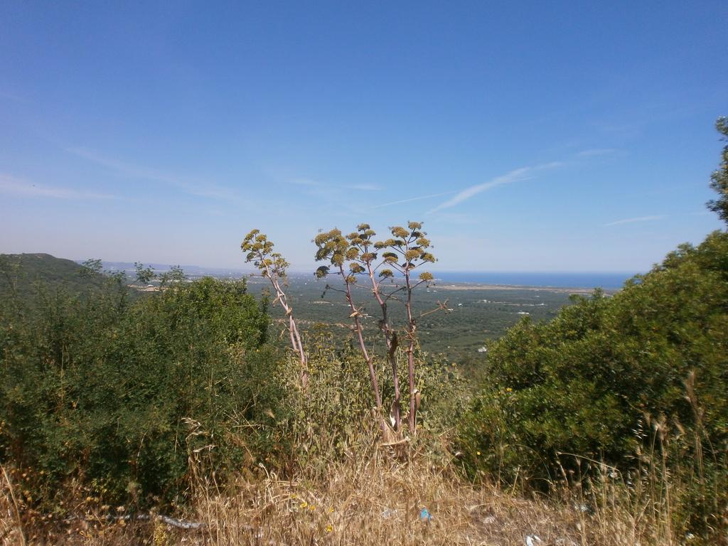 Trullo Villa Giuliana Con Giardino Posizione Panoramica Free Wifi Ostuni Ruang foto