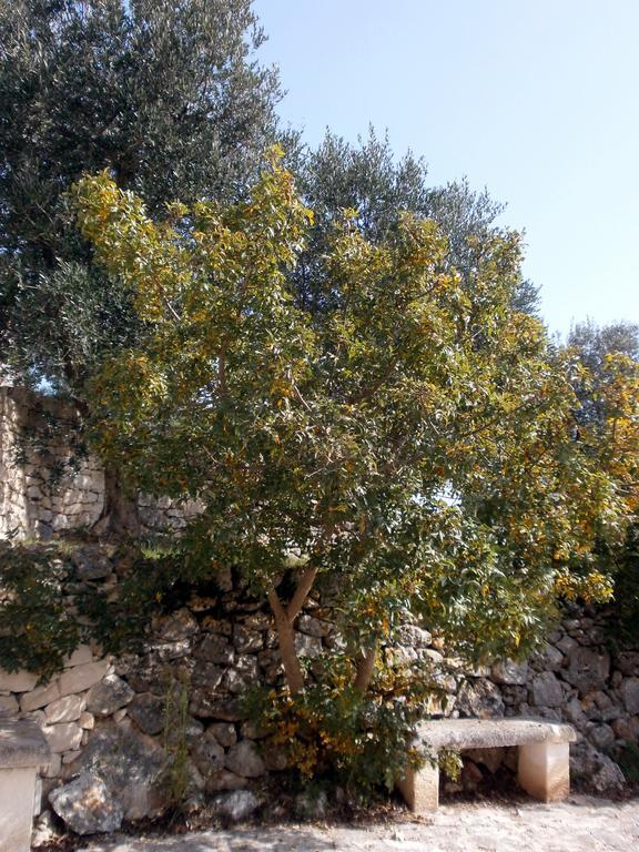 Trullo Villa Giuliana Con Giardino Posizione Panoramica Free Wifi Ostuni Ruang foto